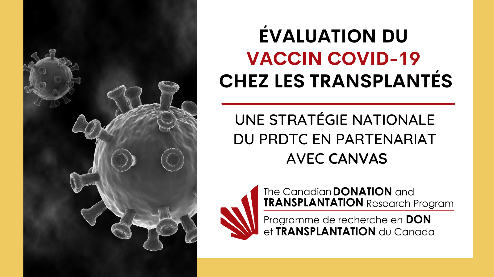 COVID-19 Vaccination Initiative