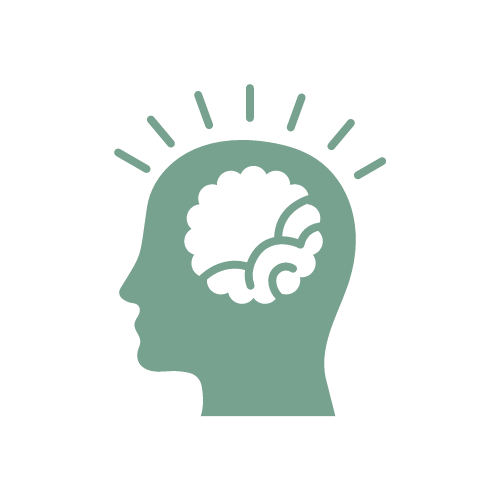 Website – Expertise (1)