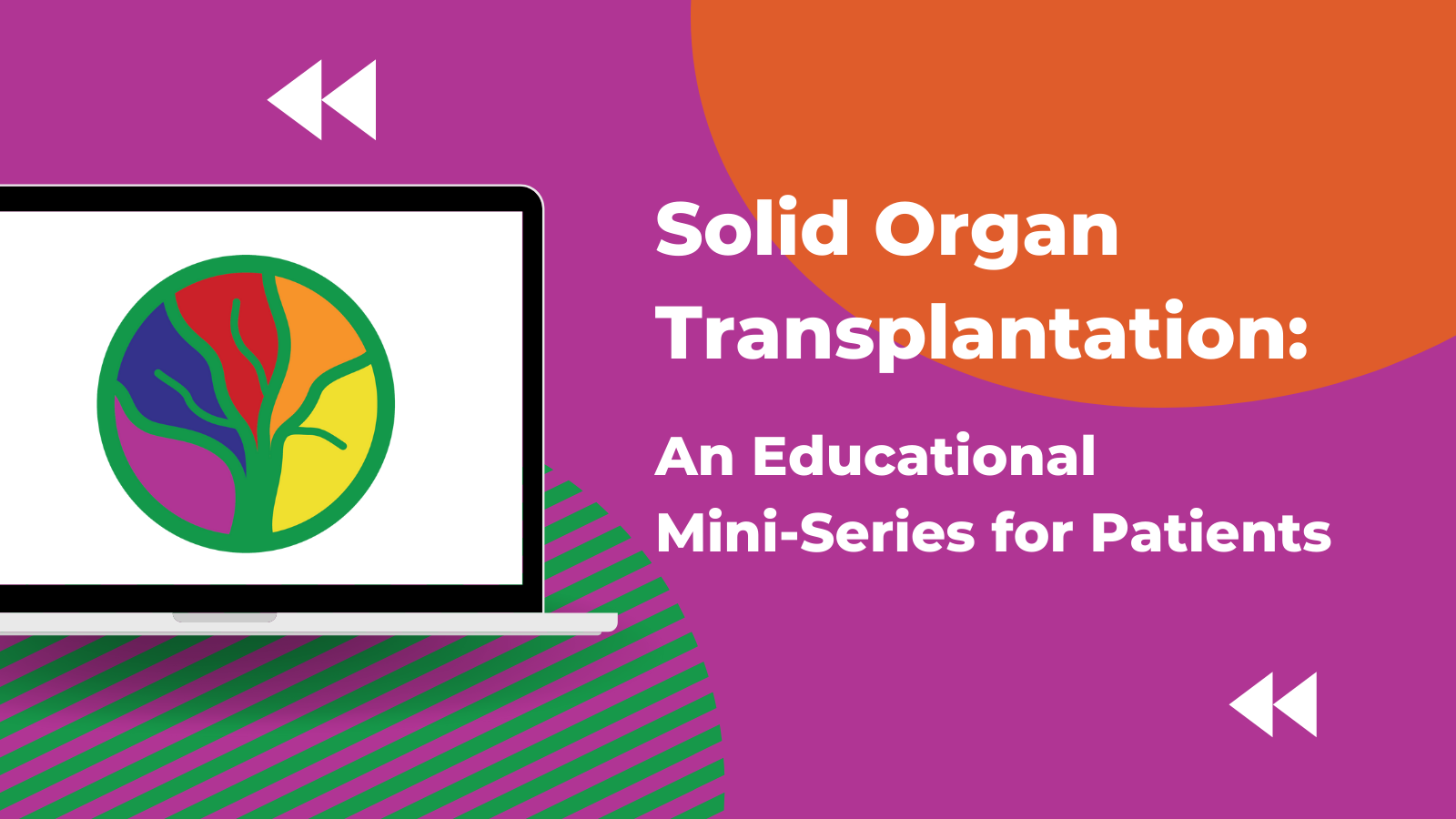 Solid Organ Transplantation: An Educational Mini-Series for Patients