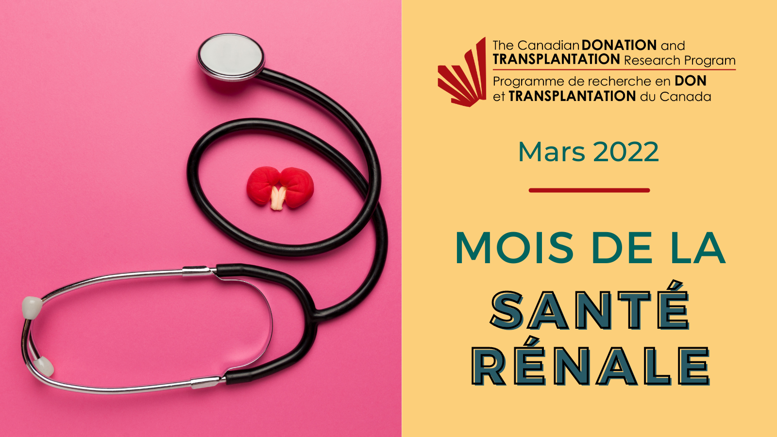 Kidney Health Month 2022