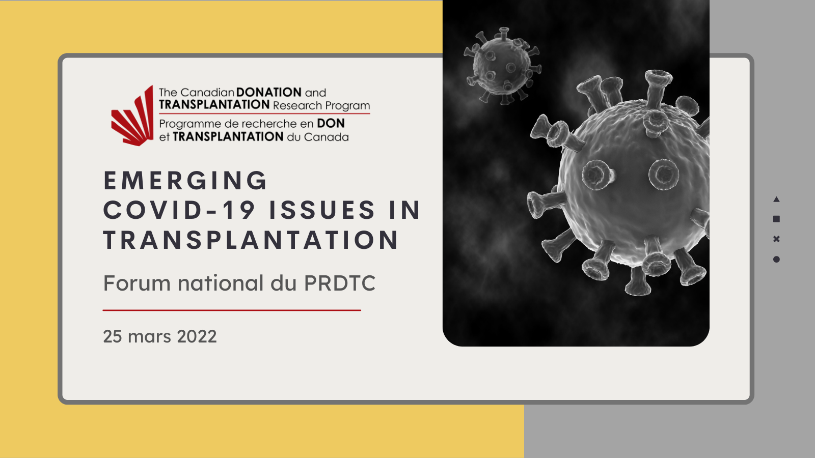 Emerging COVID report image