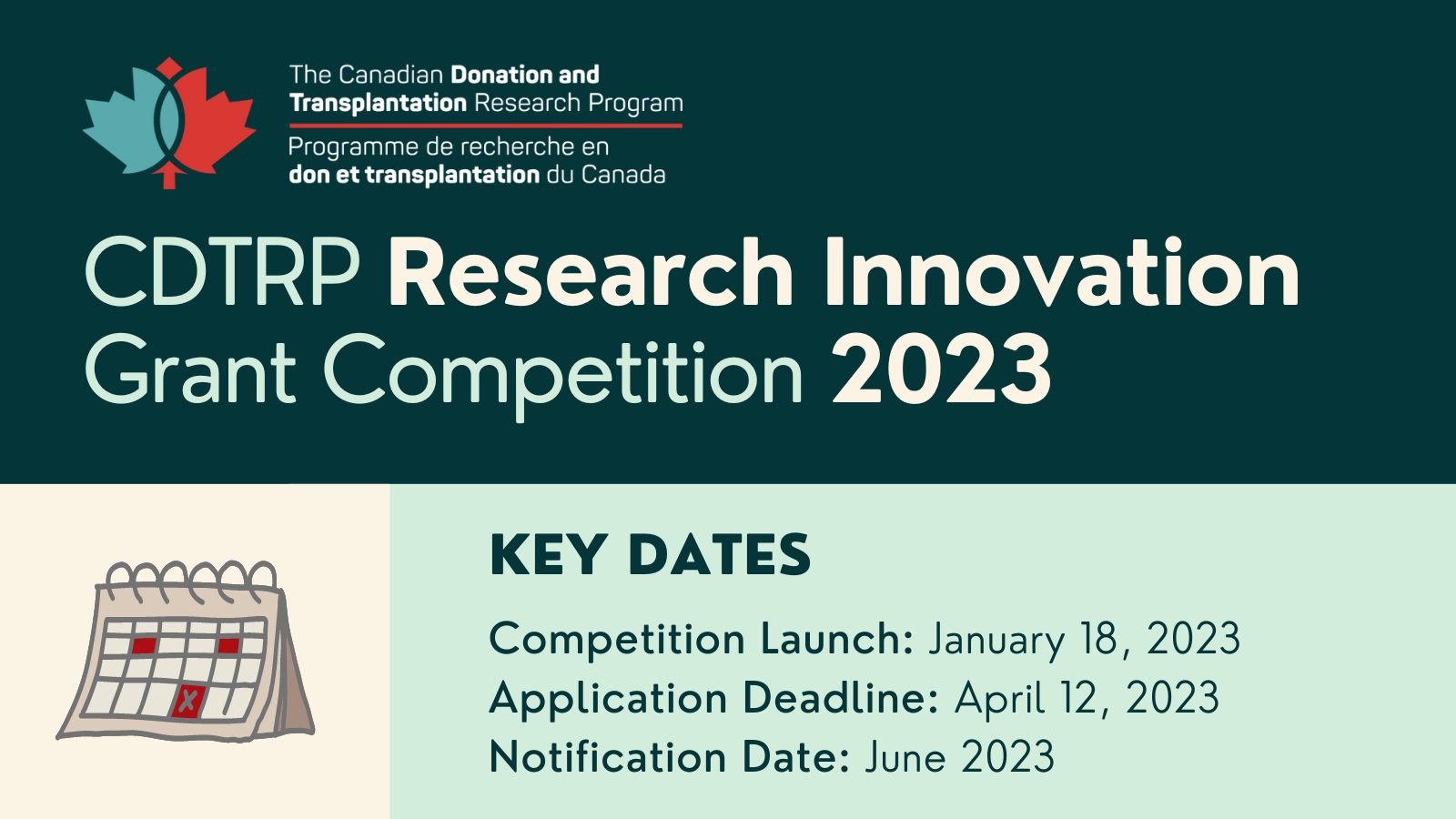 Innovation Grant 2023