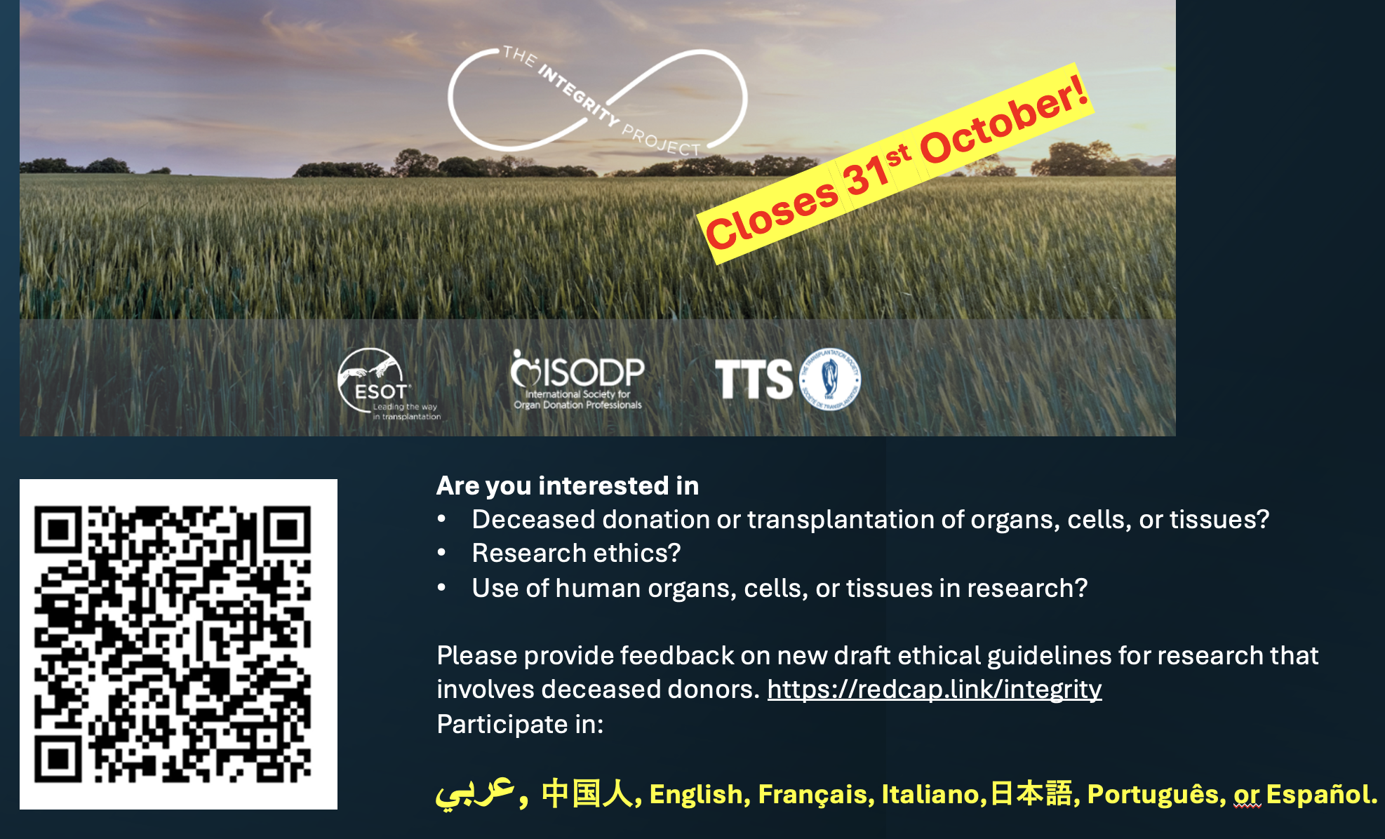 Banner English INTEGRITY